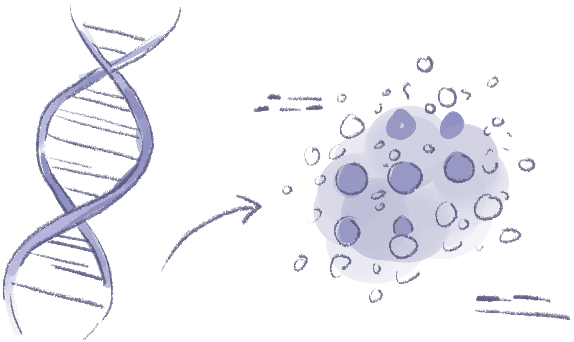 Cancer Detection Pipeline with Bloom Filters illustration